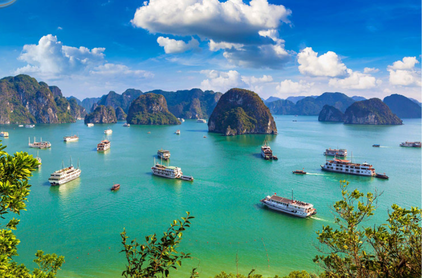 Day 4: Hanoi -  Halong bay overnight on cruise [B/L/D] 